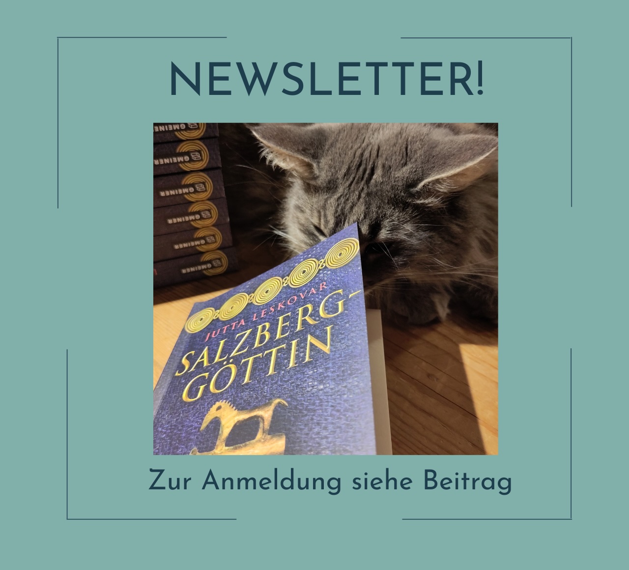 Newsletter Anmeldung